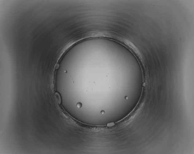 X0000112181089200908211455