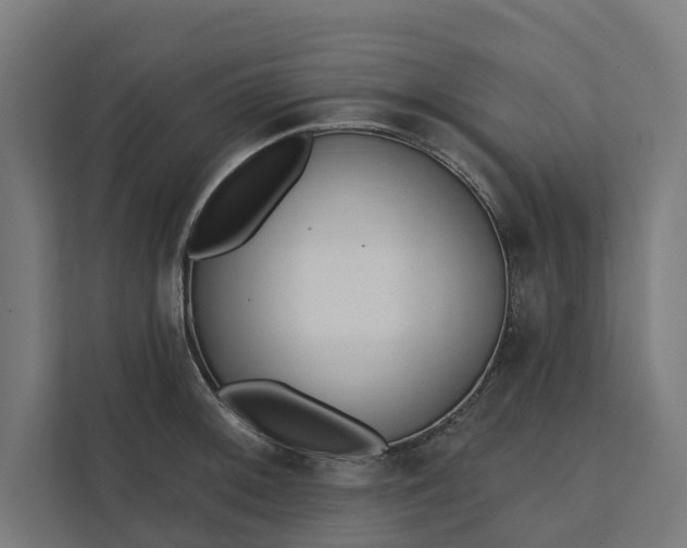 X0000112181092200908211455