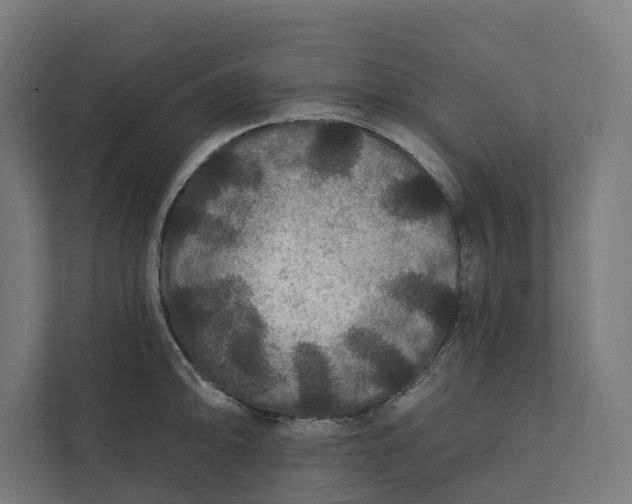 X0000112181094200908211455