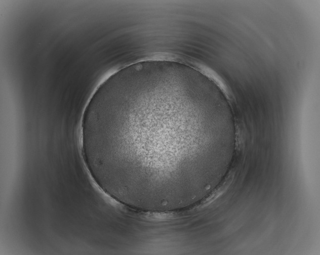 X0000112181095200908211455