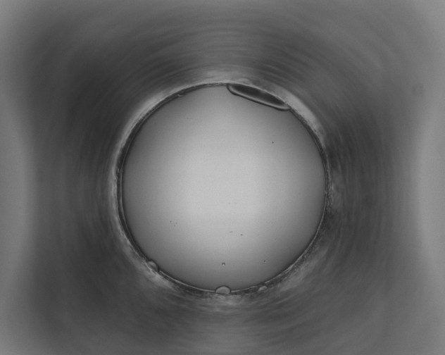 X0000112181096200908211455