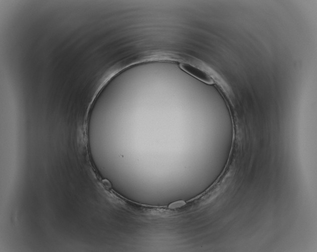 X0000112181097200908211455