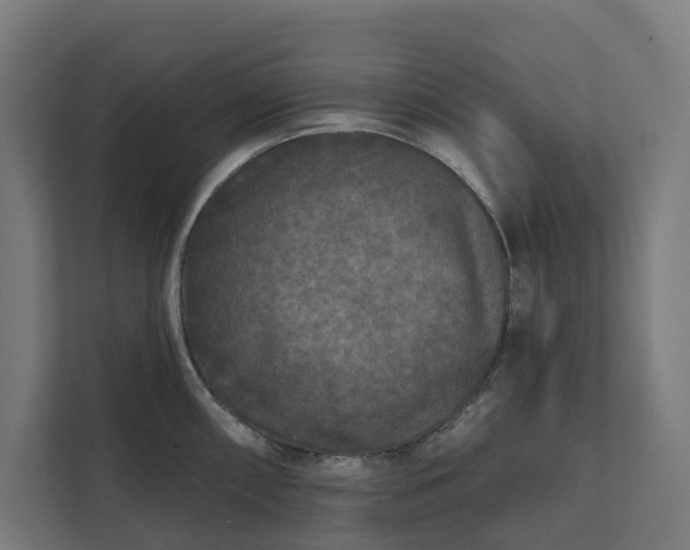 X0000112181098200908211455