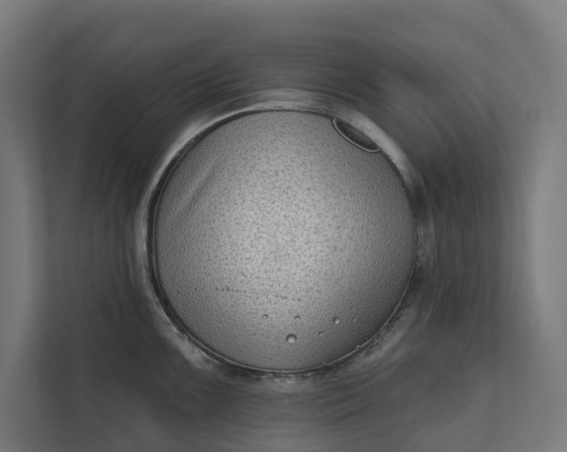 X0000112181099200908211455