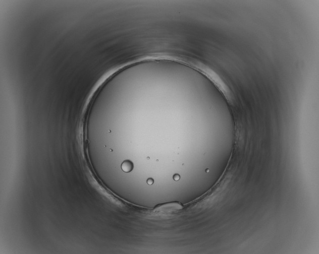 X0000112181100200908211455