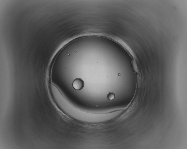 X0000112181101200908211455