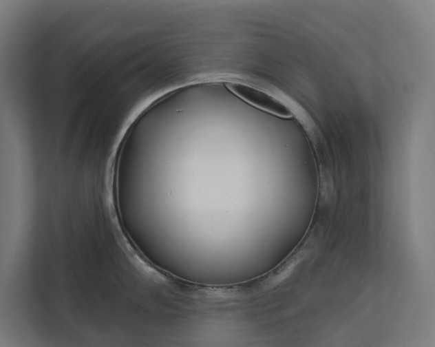 X0000112181102200908211455