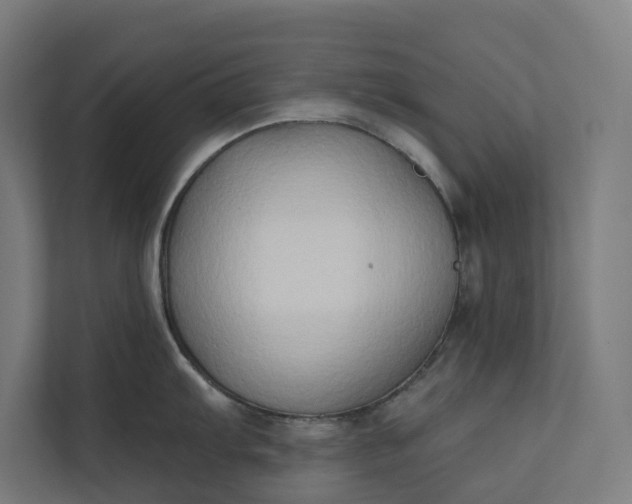 X0000112181103200908211455