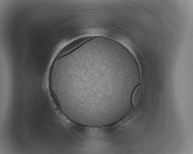 X0000112181104200908211455