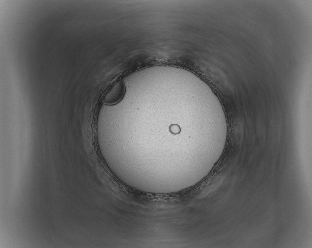 X0000112181105200908211454