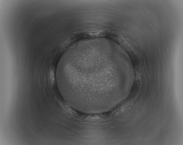 X0000112181106200908211454