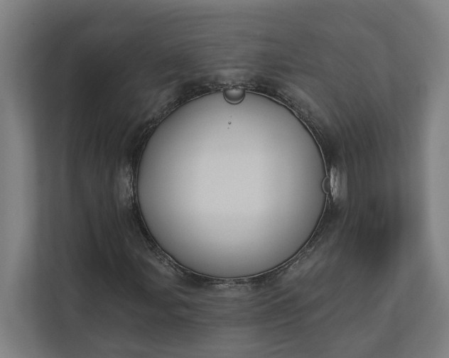 X0000112181107200908211454