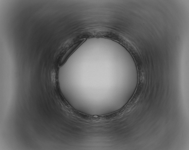 X0000112181108200908211454