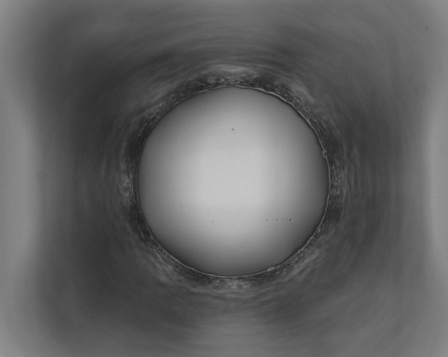 X0000112181109200908211454