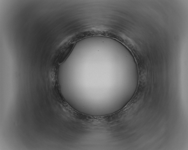 X0000112181110200908211454