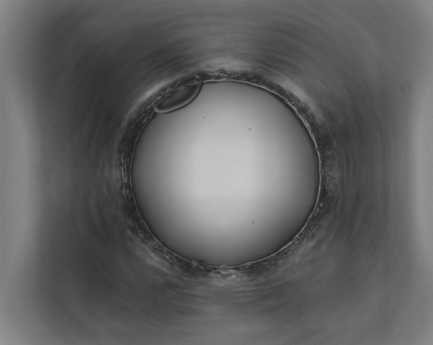 X0000112181112200908211454