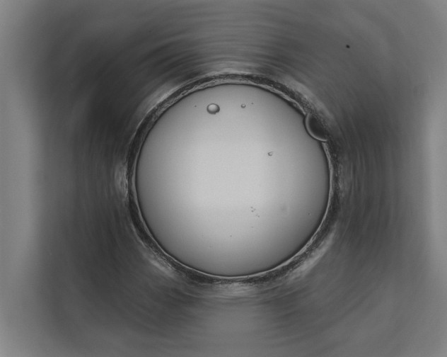 X0000112181113200908211454