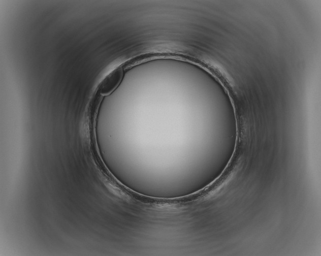 X0000112181114200908211454