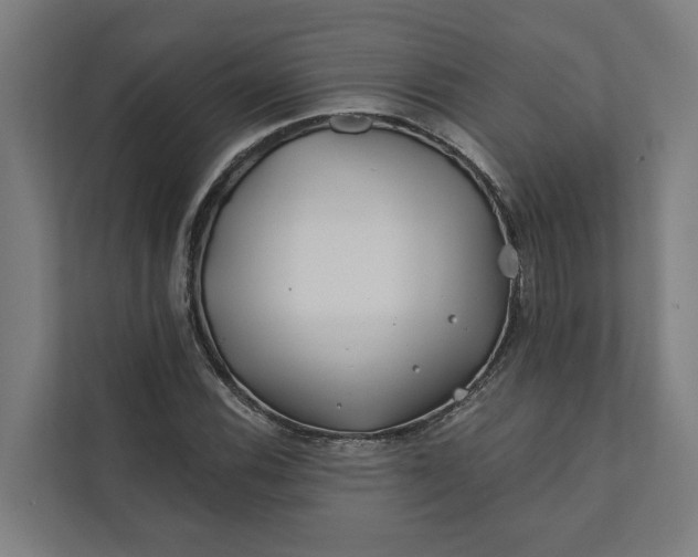 X0000112181116200908211454