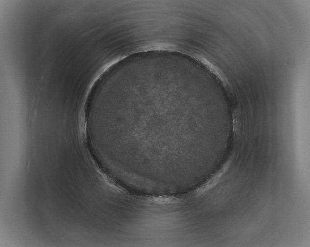 X0000112181117200908211454