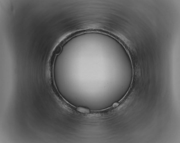 X0000112181118200908211454