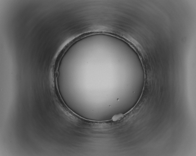 X0000112181120200908211454