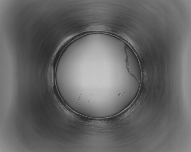 X0000112181123200908211454