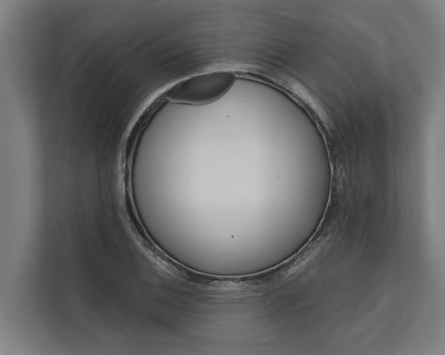 X0000112181124200908211454