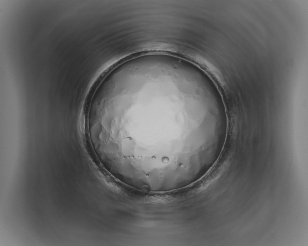 X0000112181125200908211454