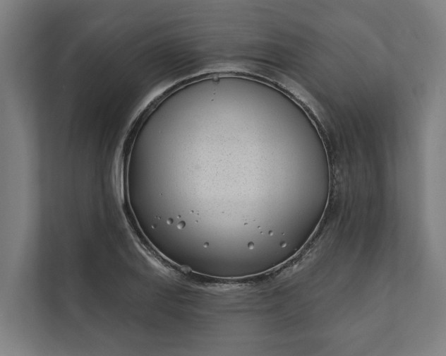 X0000112181127200908211454