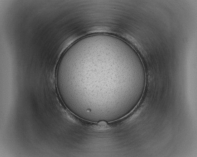 X0000112181129200908211454