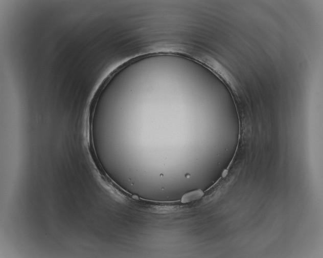 X0000112181132200908211454