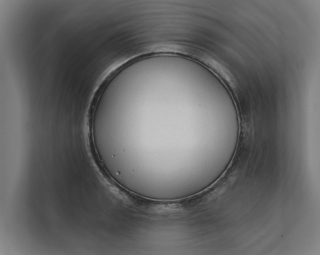 X0000112181133200908211454