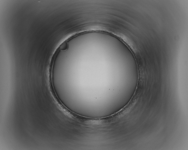 X0000112181134200908211454