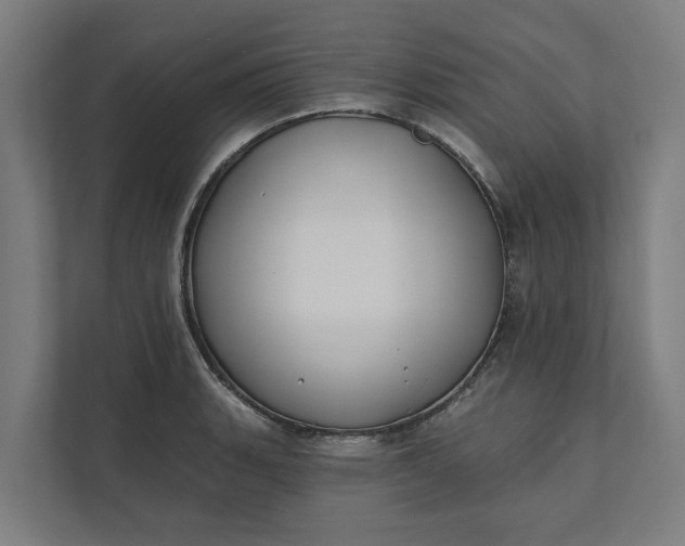 X0000112181135200908211455