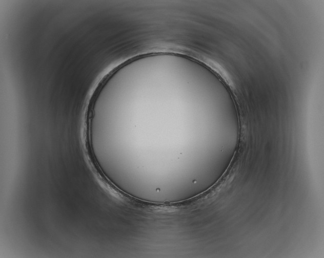 X0000112181136200908211455