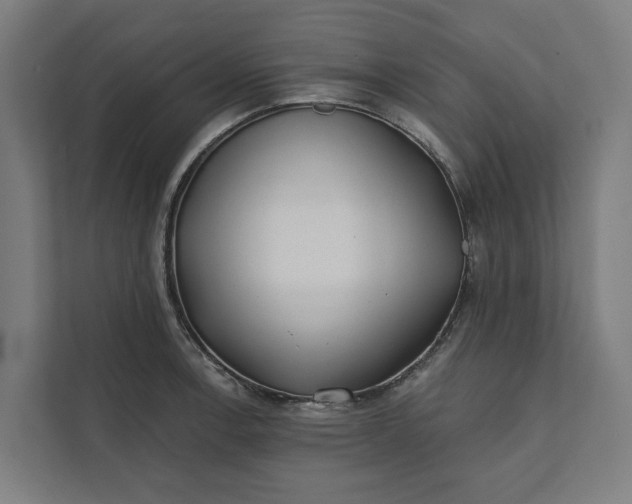 X0000112181138200908211455