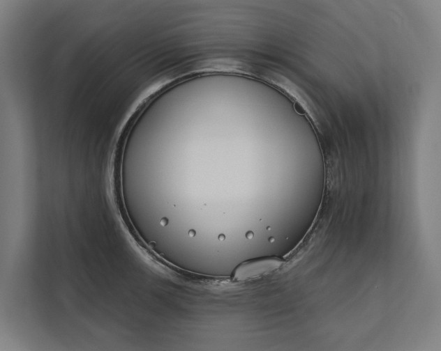 X0000112181139200908211455