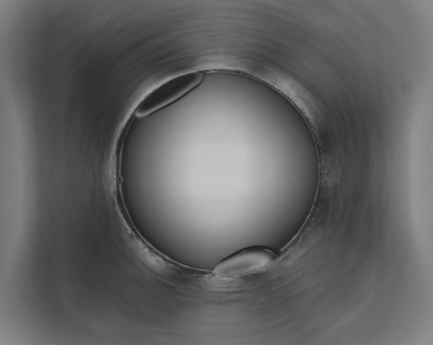 X0000112181140200908211455