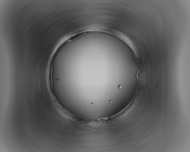 X0000112181146200908211455