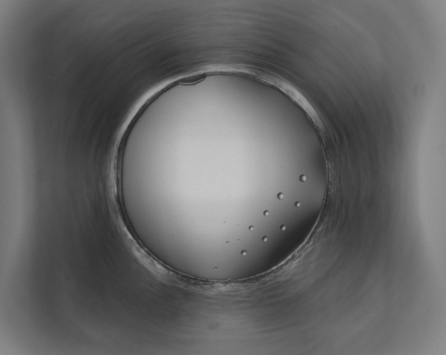 X0000112181148200908211455