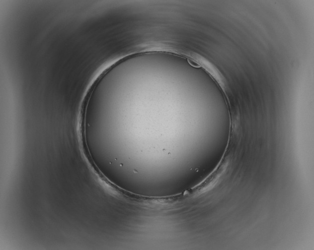 X0000112181149200908211455