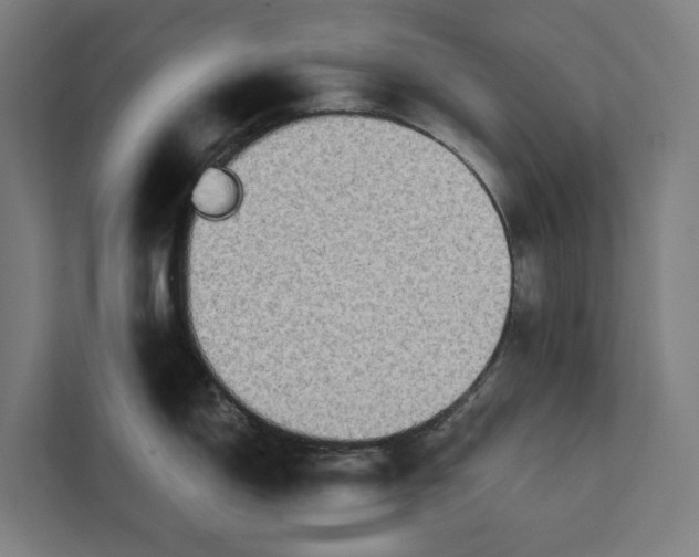 X0000112181150200908211455