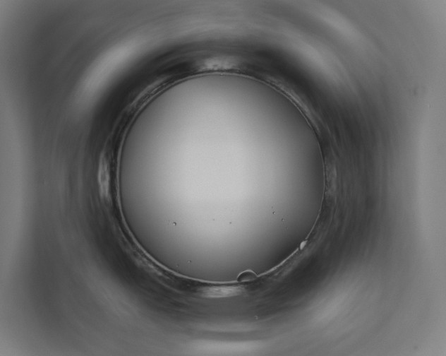 X0000112181151200908211455