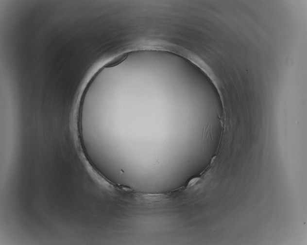 X0000112181152200908211455