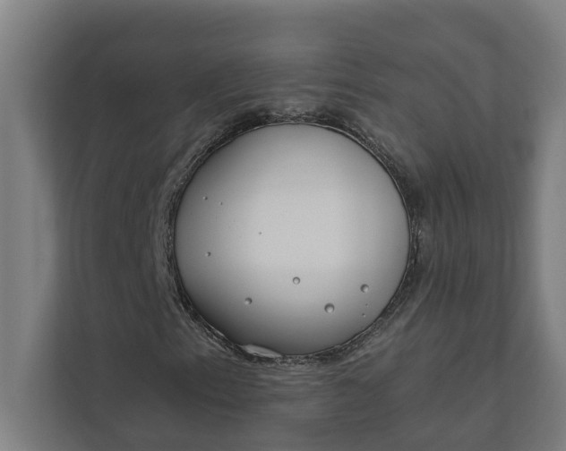 X0000112181153200908211454