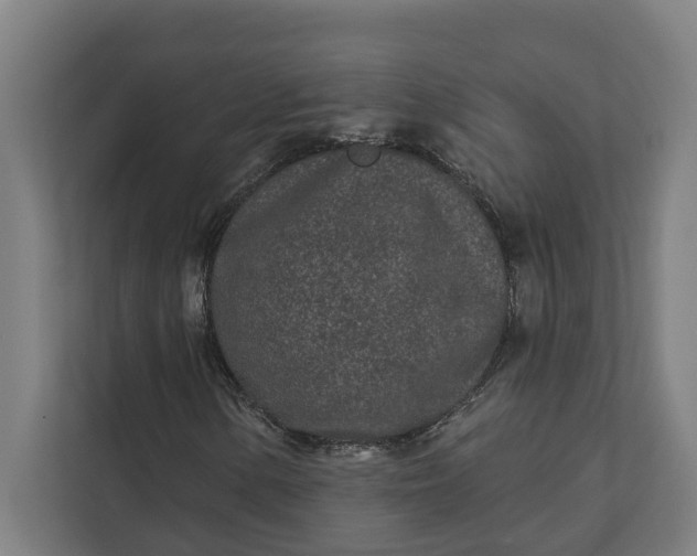 X0000112181154200908211454