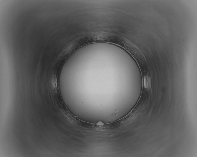 X0000112181155200908211454