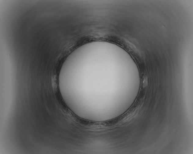 X0000112181156200908211454