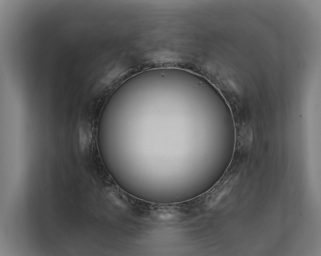 X0000112181157200908211454